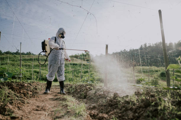 Best Best Pest Control Companies  in Chariton, IA