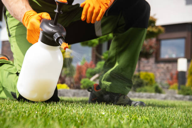 Best Pest Removal Services  in Chariton, IA