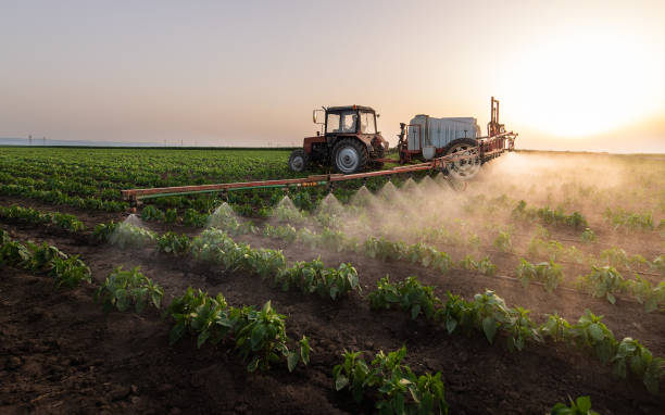 Professional Pest Control in Chariton, IA