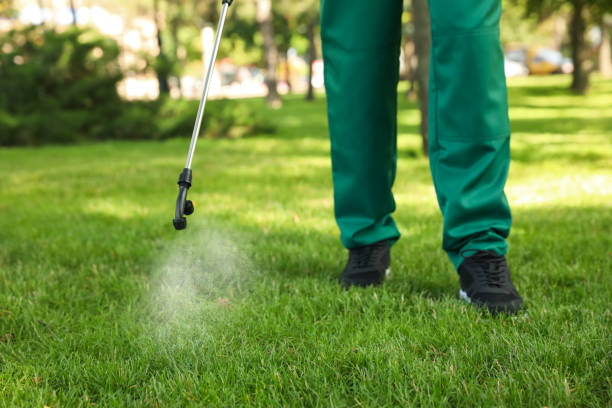 Best Termite Control Services  in Chariton, IA