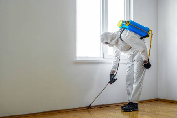 Pest Control for Restaurants in Chariton, IA