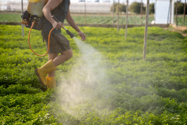 Best Mosquito Control Services  in Chariton, IA