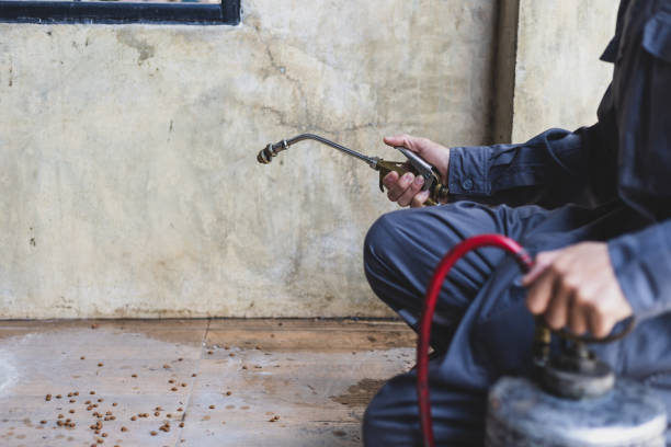Pest Control for Restaurants in Chariton, IA